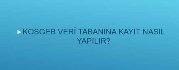 Kosgeb Veri Tabanina Kayit Nasil Yapilir 2018 Yili Durum Sorgulama